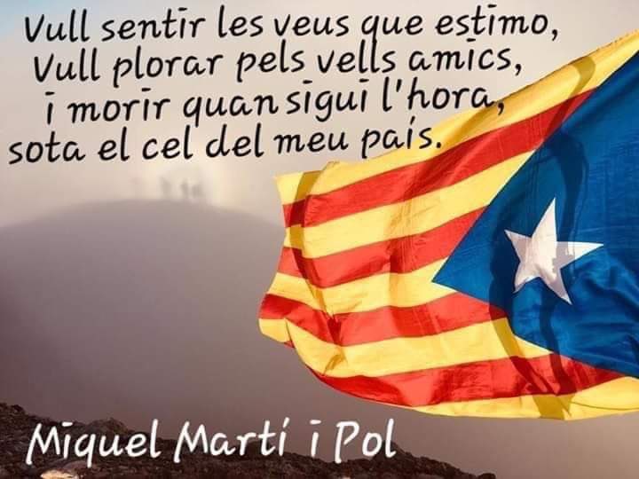 puigamer's tweet photo. @o_meigho Catalunya 🤗 https://t.co/Eik2wKAQ70