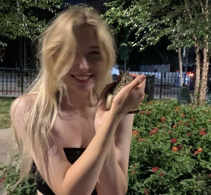 helaena_bugs's tweet photo. ⋆˚꩜｡ helaena targaryen 

⋆˚꩜｡ 25 years old and mother of two

⋆˚꩜｡doing her masters in archaeoentomology 

⋆˚꩜｡lover of bugs and nature 

⋆˚꩜｡a sweetheart and a bit naive https://t.co/DUacqH4f2Q