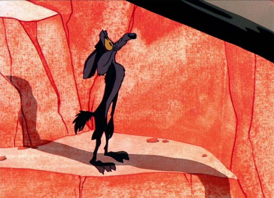 lycheeyokai's tweet photo. wile e coyote pics taken seconds before disaster compilation https://t.co/TxHQRliYAV