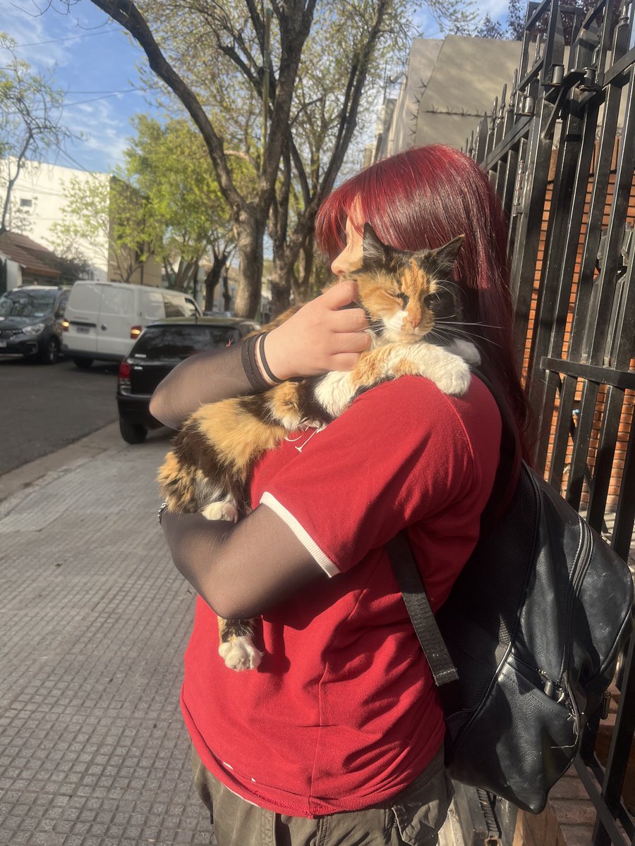 vickyypicara's tweet photo. Te amo Luz con gatito de la casa de en frente del colegio (Simona) https://t.co/I1TQTPdbOr