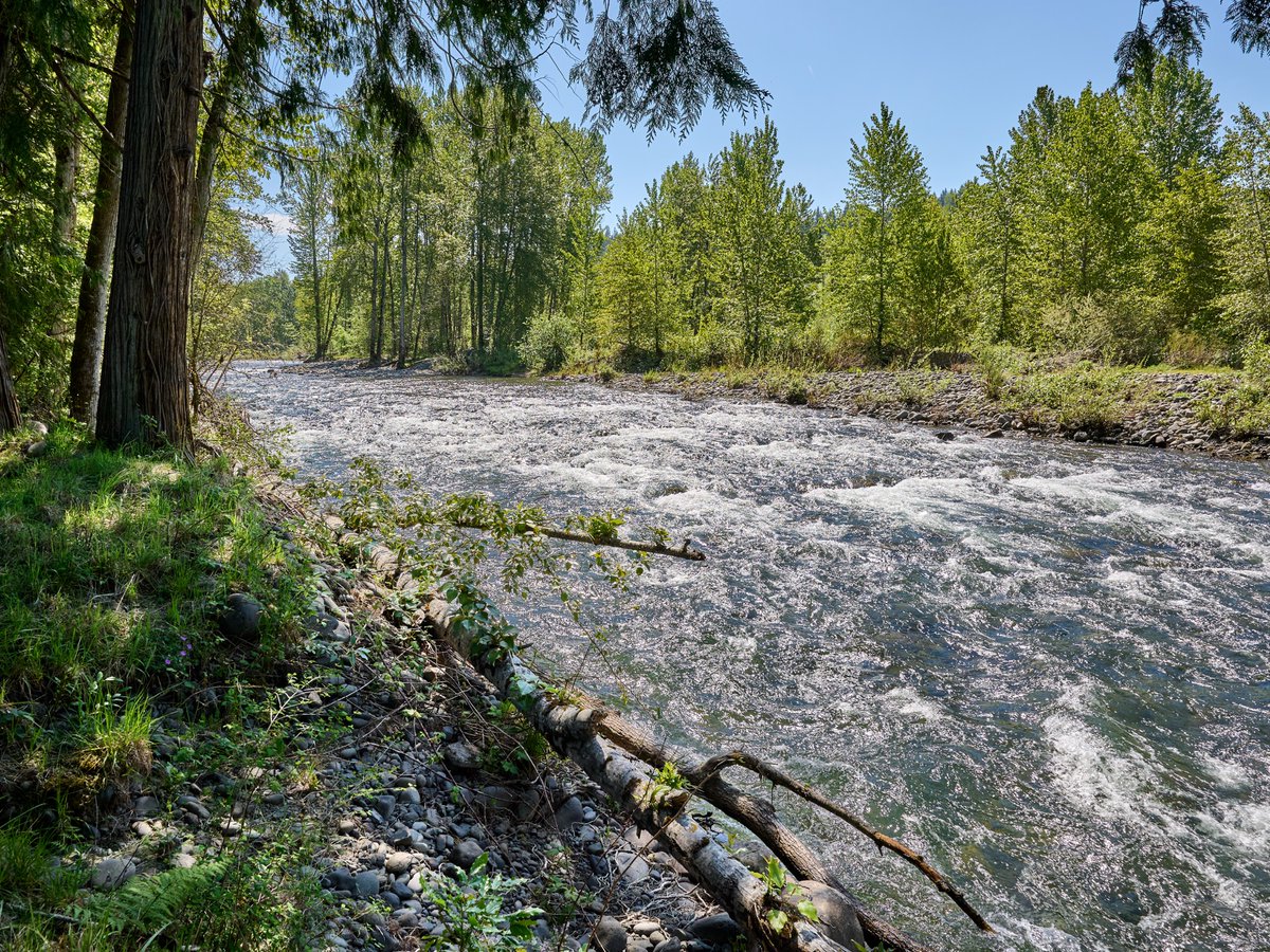 FireflyEstate's tweet photo. You are Invited. Open House Saturday!
LAND &amp; LEGACY • COME SEE WHAT YOU COULD DO HERE
Saturday, September 26 • Noon–3 PM
34846 S Dickey Prairie Rd • Molalla, Oregon
There’s something wonderfully cozy about having a little more room to roam.
Floor Plan:https://t.co/4HgZQZhvyE. https://t.co/frbl39vEgY