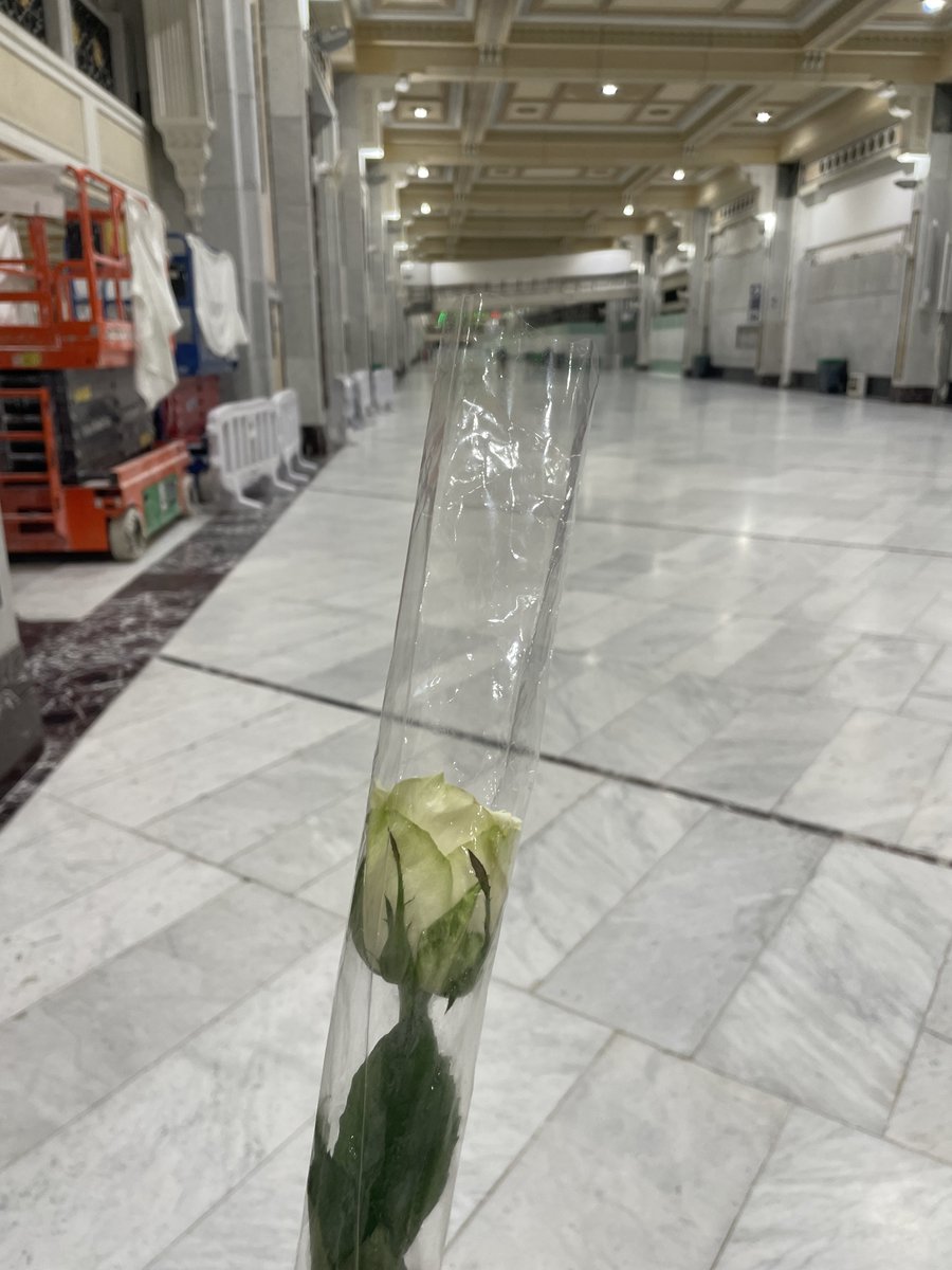 tsd9s's tweet photo. جتني ذي الوردة 

تم زوال الالم بالكامل 🤚🏻 https://t.co/yH3nxqahrl
