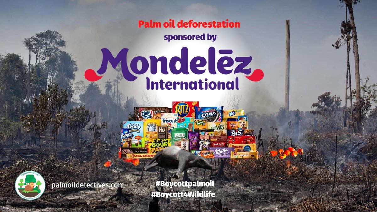 PalmOilDetect's tweet photo. Enjoy your next get-together with #cookies and #biscuits 🍪🥮 that are #palmoilfree. Don’t believe the hype and the #greenwashing lies about “sustainable” #palmoil 💰🤑🧐 🌴 ALL OF IT causes #deforestation Learn more ⏬ #BoycottPalmOil #Boycott4Wildlife https://t.co/RISXtTCWpF https://t.co/FdvChyYGnI