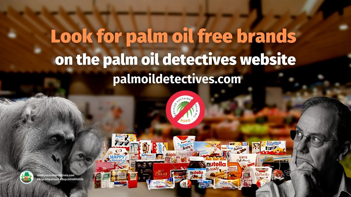PalmOilDetect's tweet photo. Enjoy your next get-together with #cookies and #biscuits 🍪🥮 that are #palmoilfree. Don’t believe the hype and the #greenwashing lies about “sustainable” #palmoil 💰🤑🧐 🌴 ALL OF IT causes #deforestation Learn more ⏬ #BoycottPalmOil #Boycott4Wildlife https://t.co/RISXtTCWpF https://t.co/FdvChyYGnI