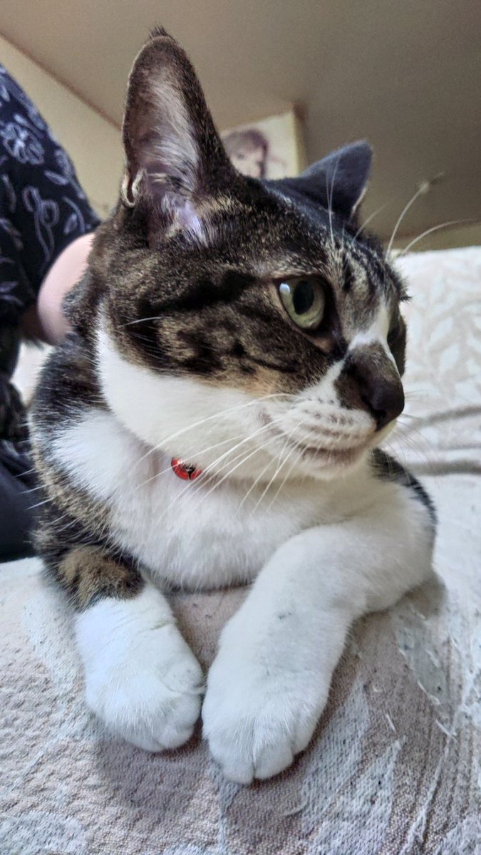 pannja's tweet photo. おはようございます
木曜日です
雨の連休でしたね。
今週は今日、明日さあ気持ち
入れ換えて笑顔いっぱいで
素敵な毎日を！ https://t.co/KzgEocxKxJ