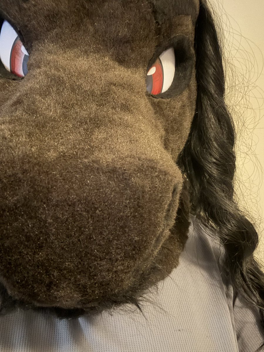 ShmosefStallion's tweet photo. ITS HEREE AHHHH TAKING PICS IS SO HARD IN THIS https://t.co/YdjKE1BuZn