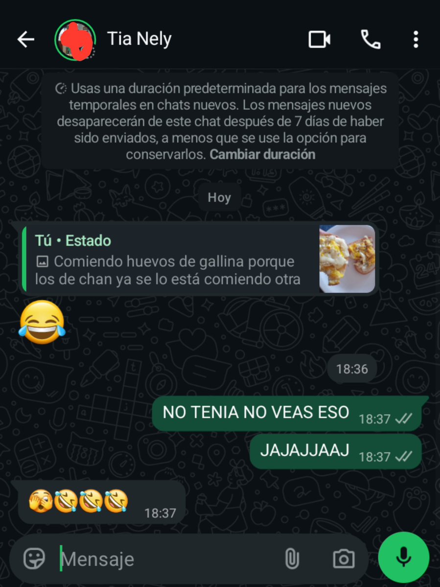 erastayy's tweet photo. Me olvidé que tenía a mis tías para q vean los estados del straycity https://t.co/JoJCFrNGns