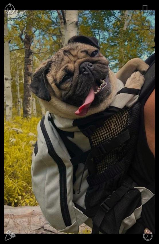 CajangoLc's tweet photo. Before settling into sleep, they made loose plans for the next day: morning mountain hiking, small town local shopping, riverside picnic lunch, and evening sunset viewing at a nearby valley overlook. Flexible plans left ample room for spontaneou🌺Arrange books Stories, await https://t.co/OZhMJqvhzL
