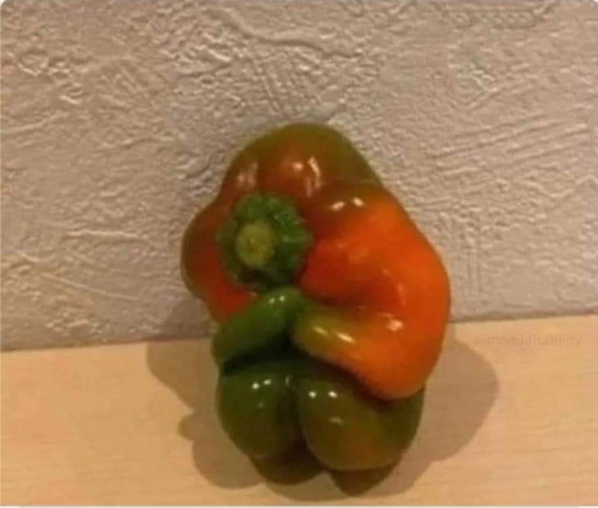 misssidras's tweet photo. I don't know whether to make a salad or ask him what happened! 😀 https://t.co/vCGHKcgF2S