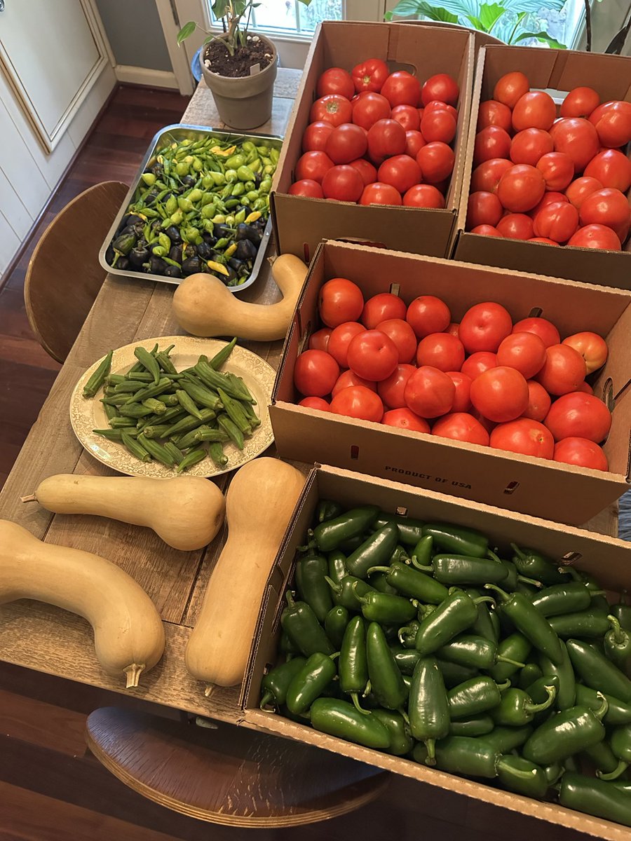 green3quarterAc's tweet photo. Canning some more salsa and tomato sauce today. So much fun. https://t.co/GLae9R1G3N