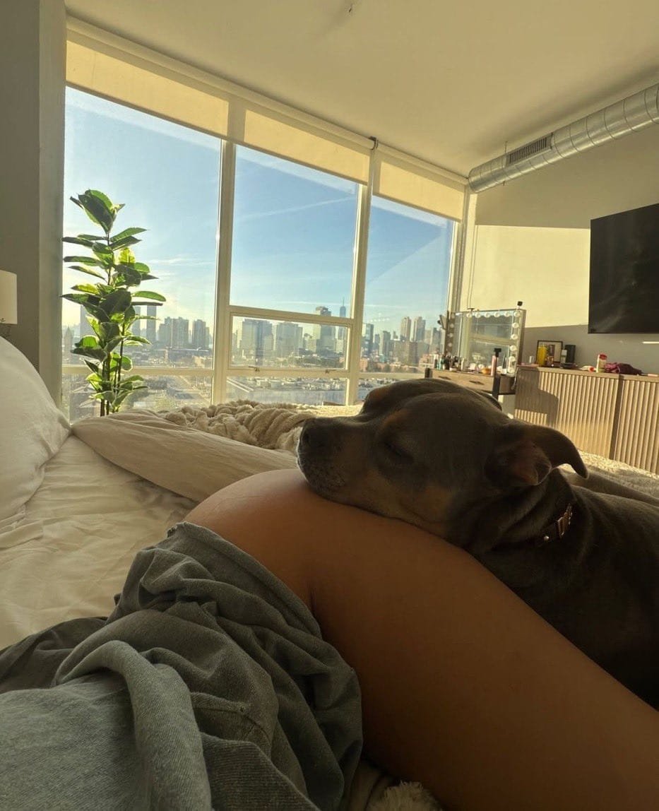 staceykape's tweet photo. Cute on the timeline.
Much deeper in private.
Link in bio
#dogs #K9 https://t.co/bO5BQ4ux2n