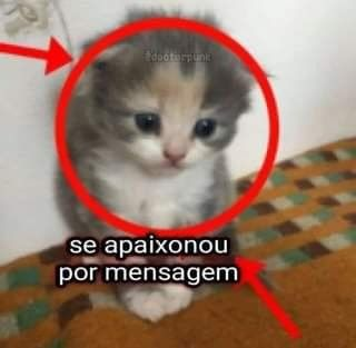 acervobichinho's tweet photo. https://t.co/0TreZxJA5F