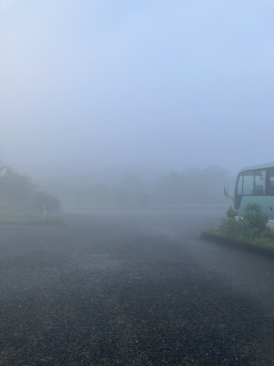 Makima_meat's tweet photo. 霧濃すぎるだろ、ホテルの建物何も見えんかったぞ…… これが島の洗礼ってやつか(？) https://t.co/7RKCBHFHui