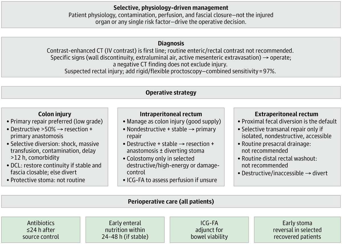 JAMASurgery's tweet photo. For adult #Trauma with colon injury, primary repair or resection with anastomosis is preferred over routine diversion for most stable patients, while diversion is reserved for persistent physiologic derangement. 

https://t.co/bPE9Doens5 https://t.co/OHxaHVaI9T