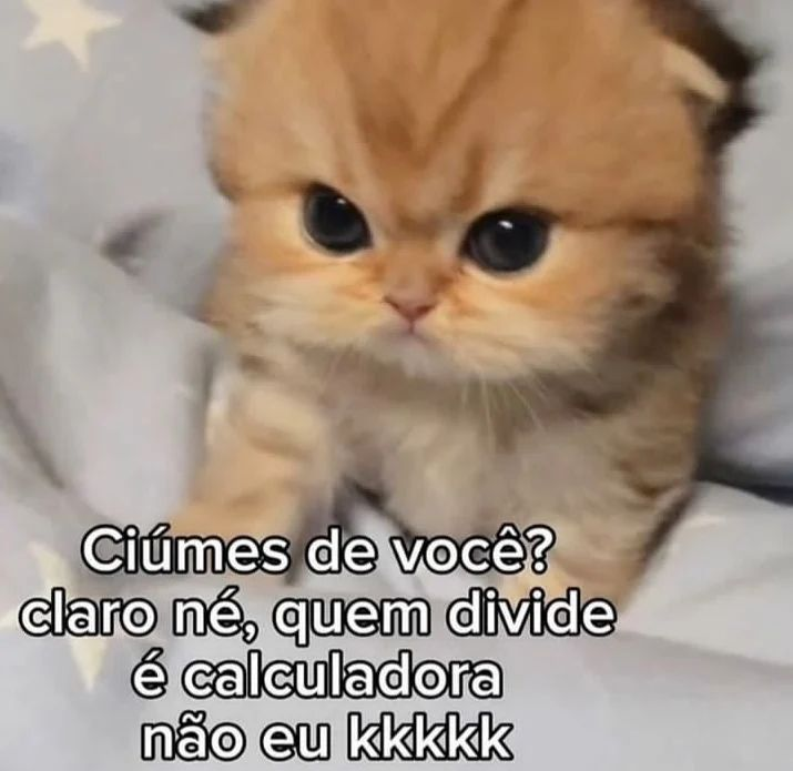 acervobichinho's tweet photo. https://t.co/AUbBbQyaN0