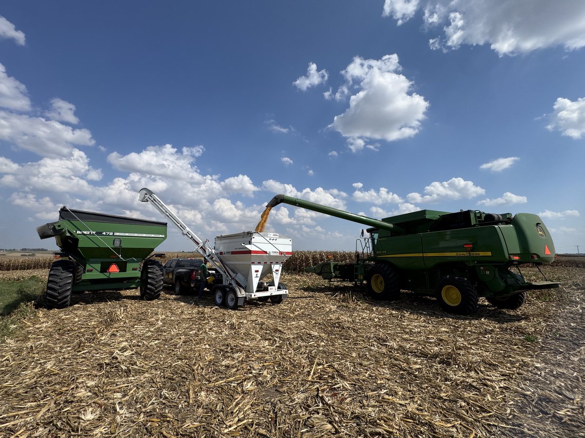 KnipmeyerSeed's tweet photo. 🌽 Combines are rolling, and we harvested two local corn test plots for @PioneerSeeds 100th harvest! 

As always, a big thank you to the plot cooperators who take the time each season to do these plots. Follow @KnipmeyerSeed for updates!

#PlantPioneer #Pioneer100 #harvestbingo26 https://t.co/piC9qV3XeQ