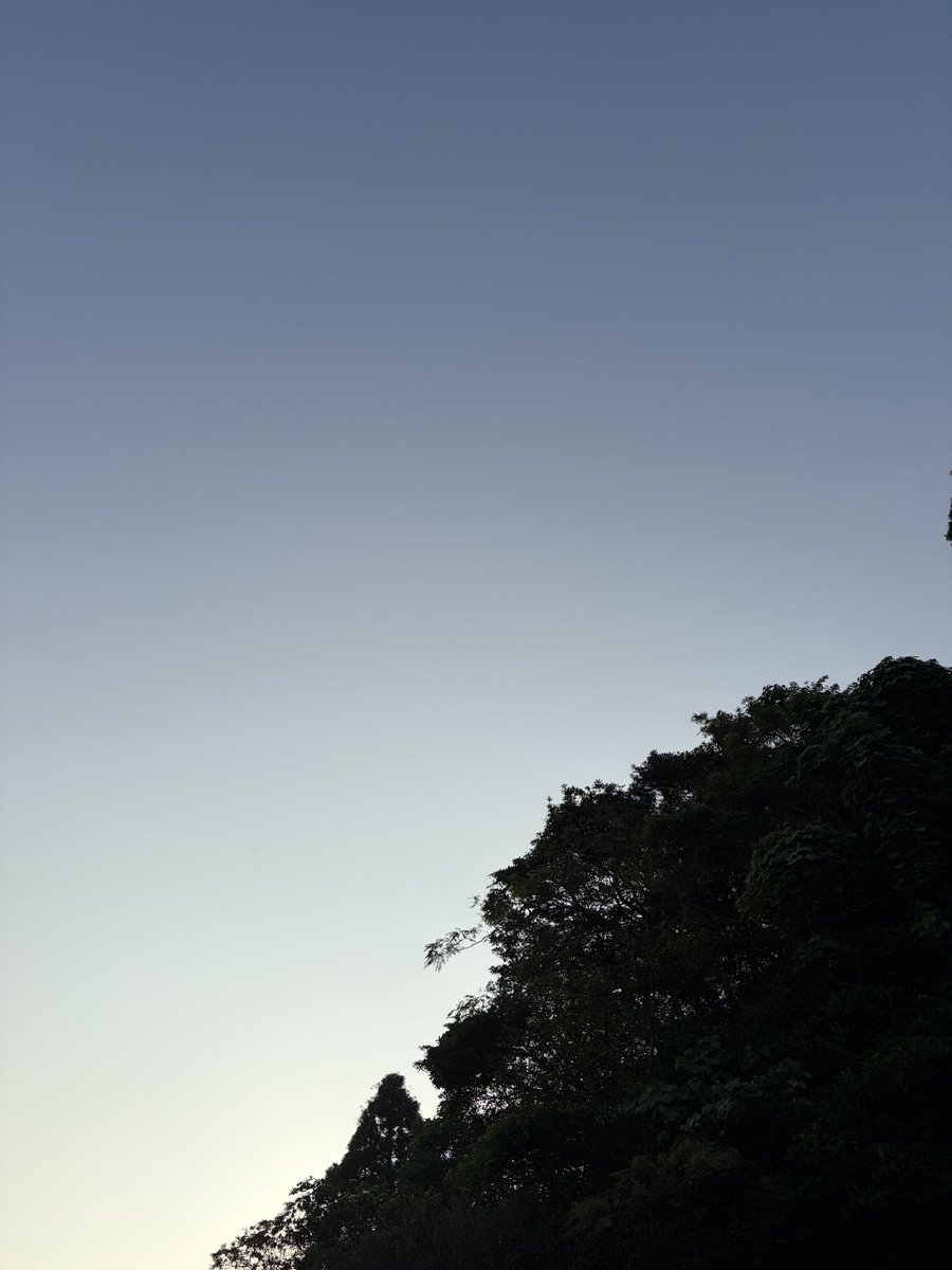 RX7FD3Shim's tweet photo. おはようさんです☀️

9月24日 畳の日
今朝は22.2℃

連休明け☺️
頑張っていきましょう♪

今日も良き日に👍
本日もよろしくでーす💖 https://t.co/FzGFMRpZtZ