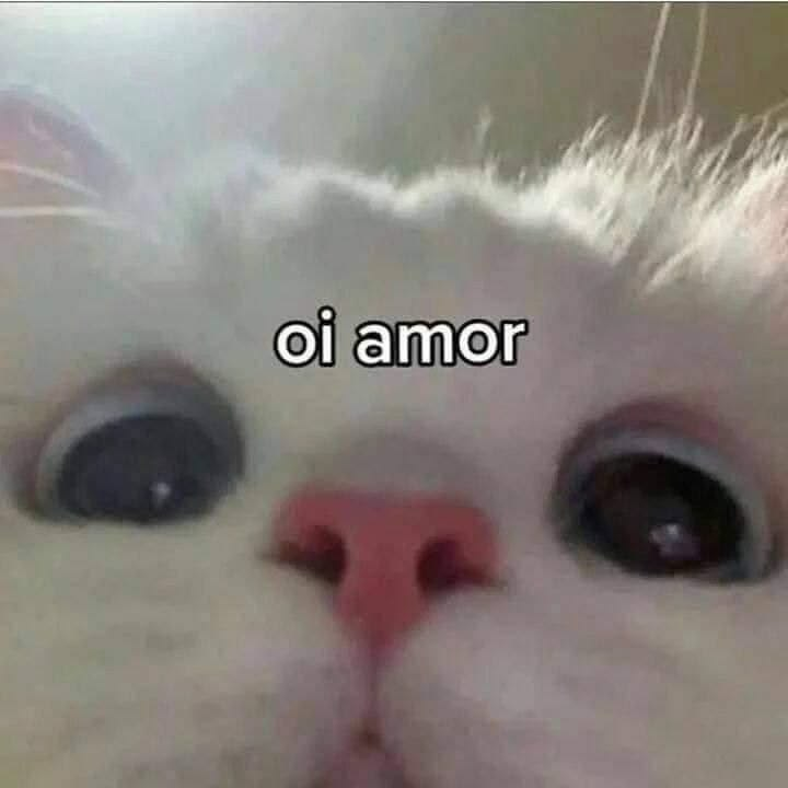 acervobichinho's tweet photo. https://t.co/4lgZSZCXuy