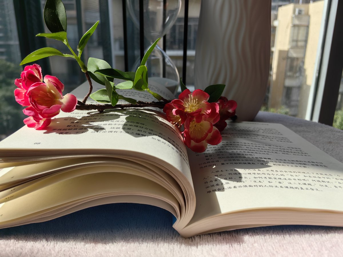 LukeCampol4p's tweet photo. Descubrí una novela maravillosa que me absorbió completamente. Cada página trae nuevas emociones. No te la pierdas!， https://t.co/7HvLumw7Jp