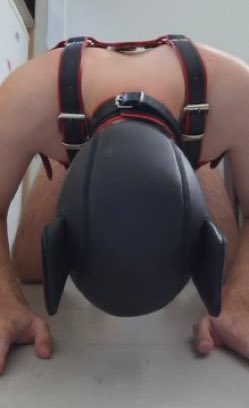 DOMKITTYK0N's tweet photo. Humiliation, exposure, wedgie sub, CBT, JOI, Findom, SPH, Forced intoxication….
DM me 

#femboy #sissy #bussy #hentai #yaoi #cock #crossdresser #nsfw #nsfwtwt #traps #trap #gayporn #twink #horny #lewd #gayhentai #hentaicommuity #crossdressing https://t.co/iFxwSkUN7B