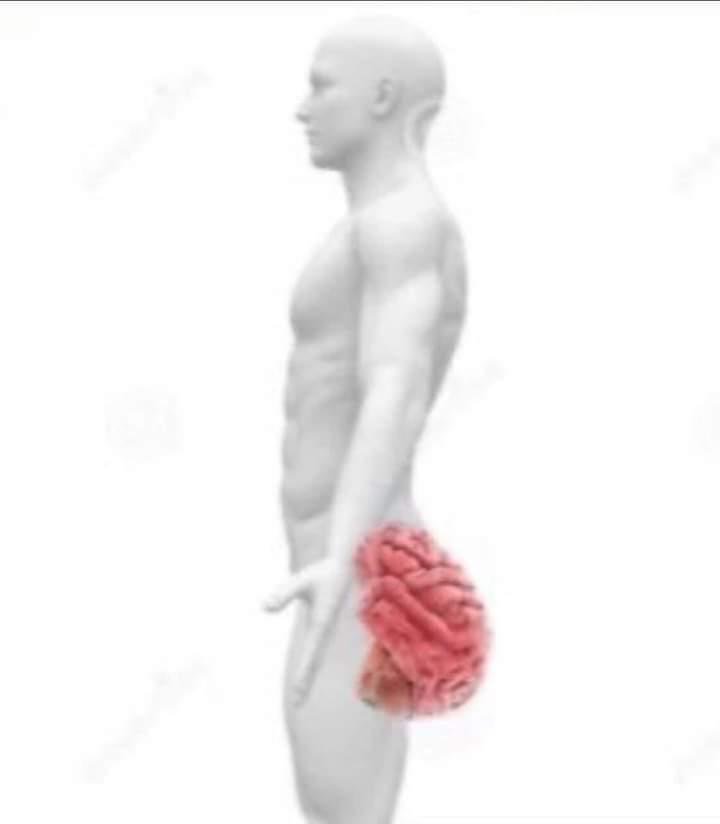 8ikw_u8's tweet photo. @ezet_khali28140 دماغ خالد ابو طهران خشبه ... من يريد يسوي روحه فيلسوف ... وهو بالأصل نعجه ثوله 😂😂😂 https://t.co/0Pugs3QuLs