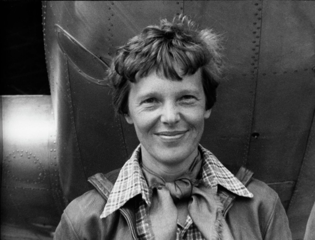 ClimateWarrior7's tweet photo. On July 2, 1937, Amelia Earhart disappeared over the Pacific.

For many years, her fate remained unknown.

But then, a remarkable discovery was made. The story took a shocking twist.

Unbeknowst to most of the world, Earhart had a copilot: a lowland mountain gorilla called Koko.

Koko had been trained to perform basic navigational tasks, a world first for female gorillas at that time.

Incredibly, Koko was found wandering the island of Nikumaroro, in the western Pacific.

She was exhausted, but alive, having survived on a diet of bananas and Earhart's remains.

"Koko sad," said Koko via gorilla sign language. "Amelia die. Also Koko hear about situation in Palestine. Many queer Palestinians die because of Zionist occupiers and climate change. Koko make primitive keffiyeh to show solidarity."

Koko then launched into a tirade about Ed Sheeran.

The World Zionist Conspiracy Lobby pressured the US government into covering up Koko's existence.

Koko lived out the rest of her days alone and penniless, in a bedsit in Islington, picking up occasional jobs as a Starbucks barista.