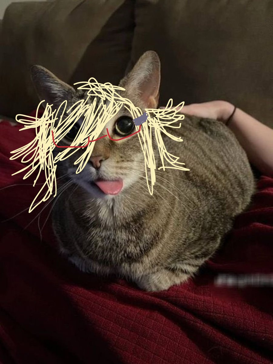 kiizuyaz's tweet photo. I need to find a proper schedule soon.. I miss streaming!!! i miss being a silly cat LIVE!!!

#vtuber #entuber https://t.co/OUUkfSjhNh