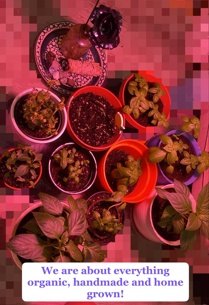skincare_dolls's tweet photo. Here is our Home Grown, indoor mini garden! We love our planets! We love our decor and handmade pieces of perfection and we love what we stand for! #plants #indoor #garden #homegrown #handmade https://t.co/JCv0qSMwxb