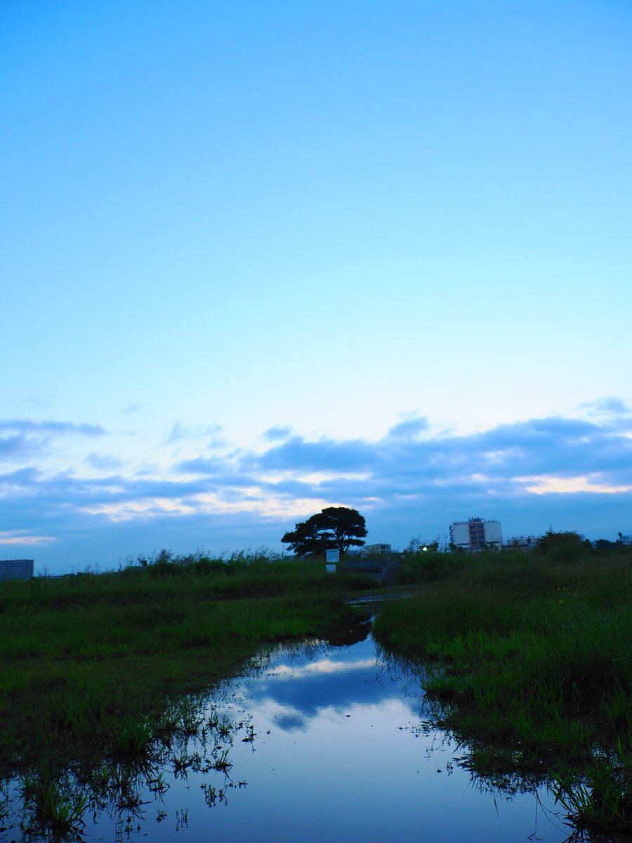 kose0820's tweet photo. おはようございます。
本日の平塚からの朝日 https://t.co/QzN2spqzX0