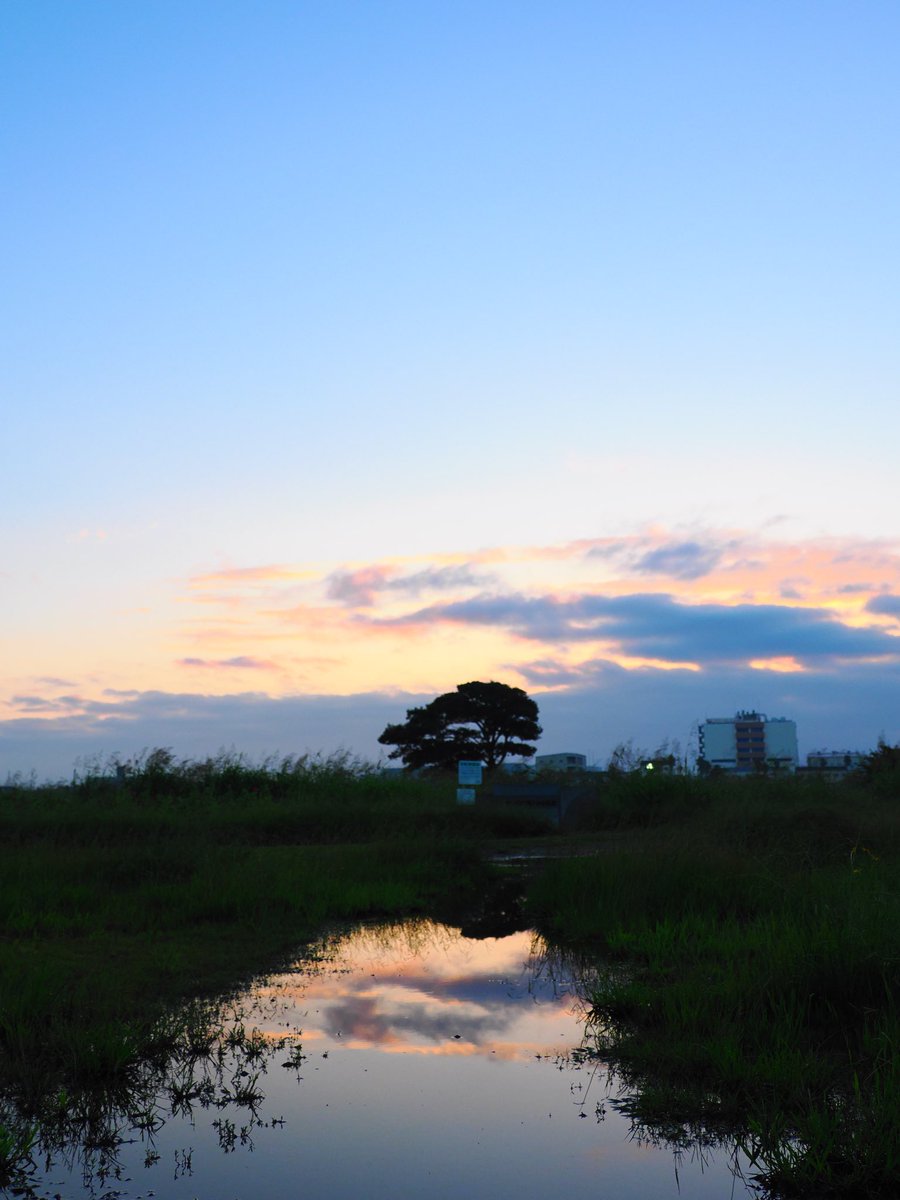 kose0820's tweet photo. おはようございます。
本日の平塚からの朝日 https://t.co/QzN2spqzX0