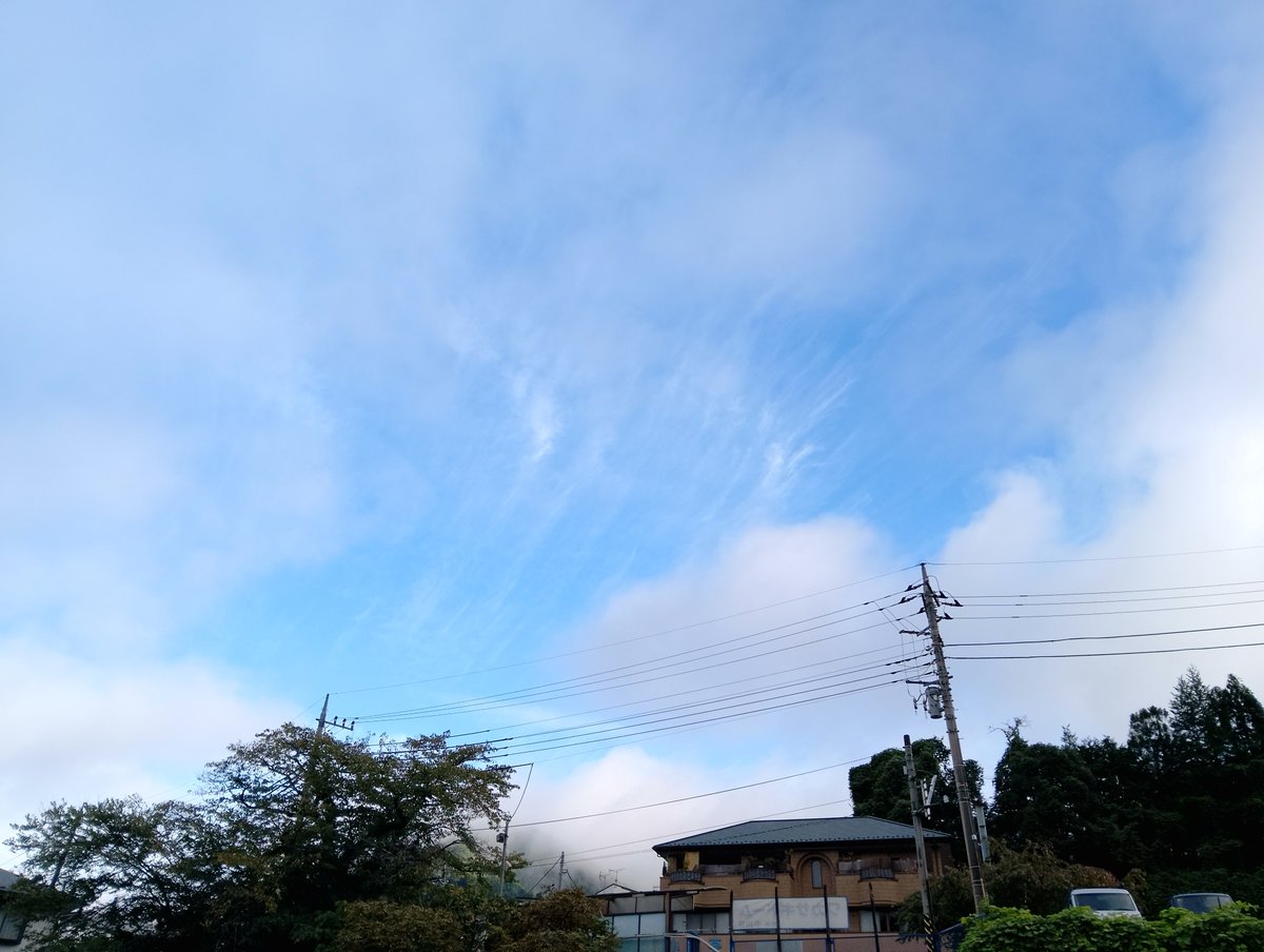OGAWATEI_boat's tweet photo. 9/24(木) おはようございます🌅

午前5時50分の相模湖
水位　満水△30cm
水質     濁り、塵芥あり
水温     18.8℃
曇天☁️　晴れ時々曇りの予報
最高気温28℃   風速1~2m🍃

皆さま、良い１日を❗
#相模湖 #小川亭 #ブラックバス 
本日の日の出 ∶午前5時29分　
夜間に大量の浮草塵芥が流れてきました。濁りもまだあります。
今日はハードな釣りで🎣🎣🎣
　昼前から湖面清掃業者が入るようです。