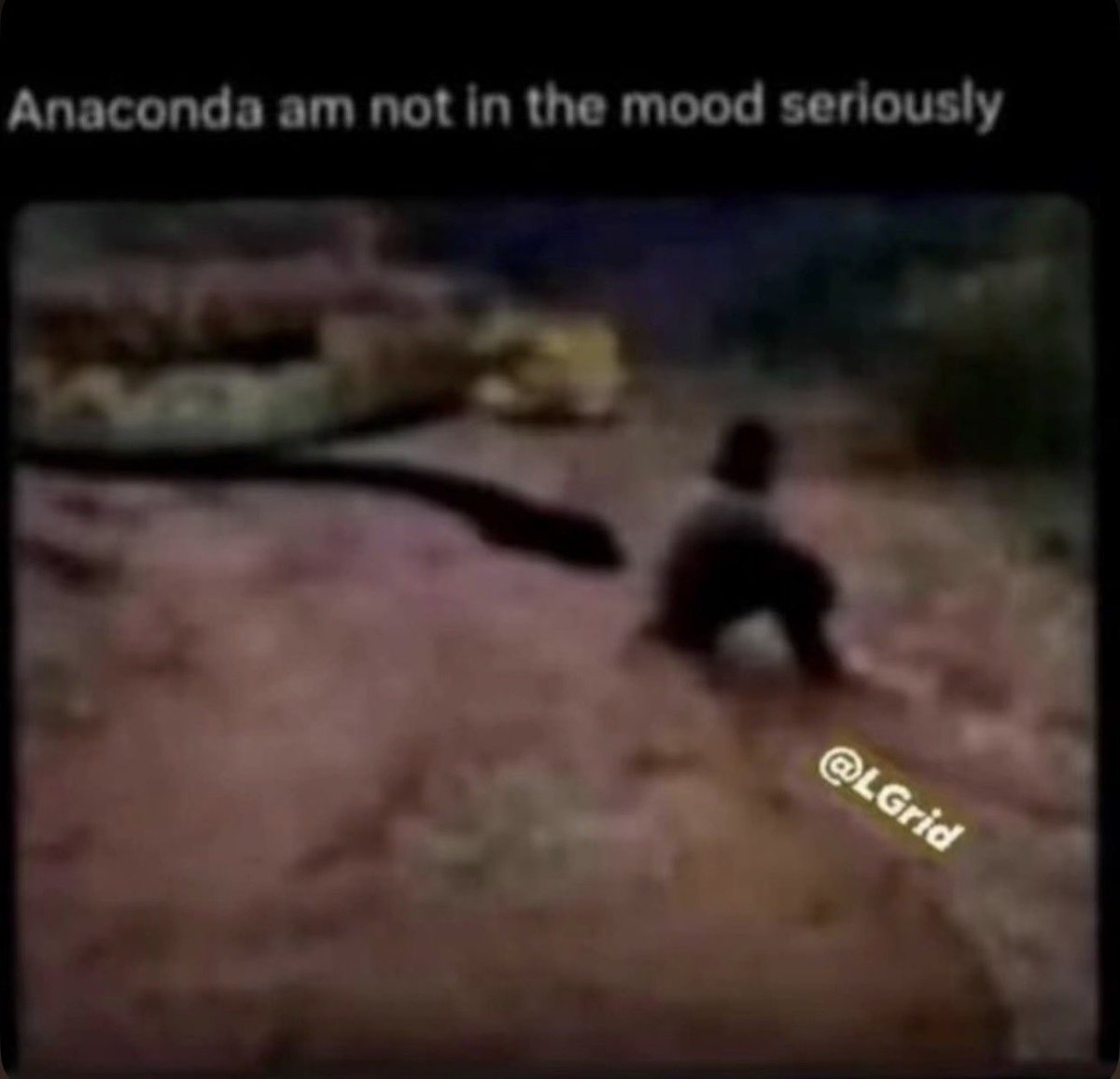 ilyyjoy's tweet photo. anaconda pls not today😒 https://t.co/zfWN8DrUwq