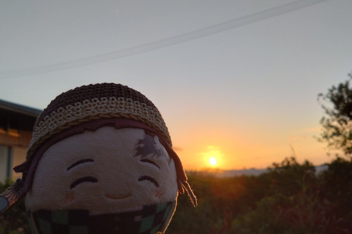 f243w's tweet photo. ふゎ🎴「おはよござぃます!(^_^)🌅です!ぉ☀ちゃ〜じっ!!✨どらごんふる〜つの🌼さぃてました!!」 https://t.co/eKNtytKuAf