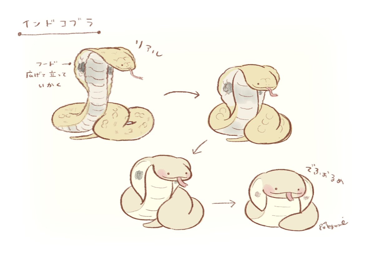 motitata's tweet photo. でふぉるめこぶら https://t.co/I1zS8orvjG
