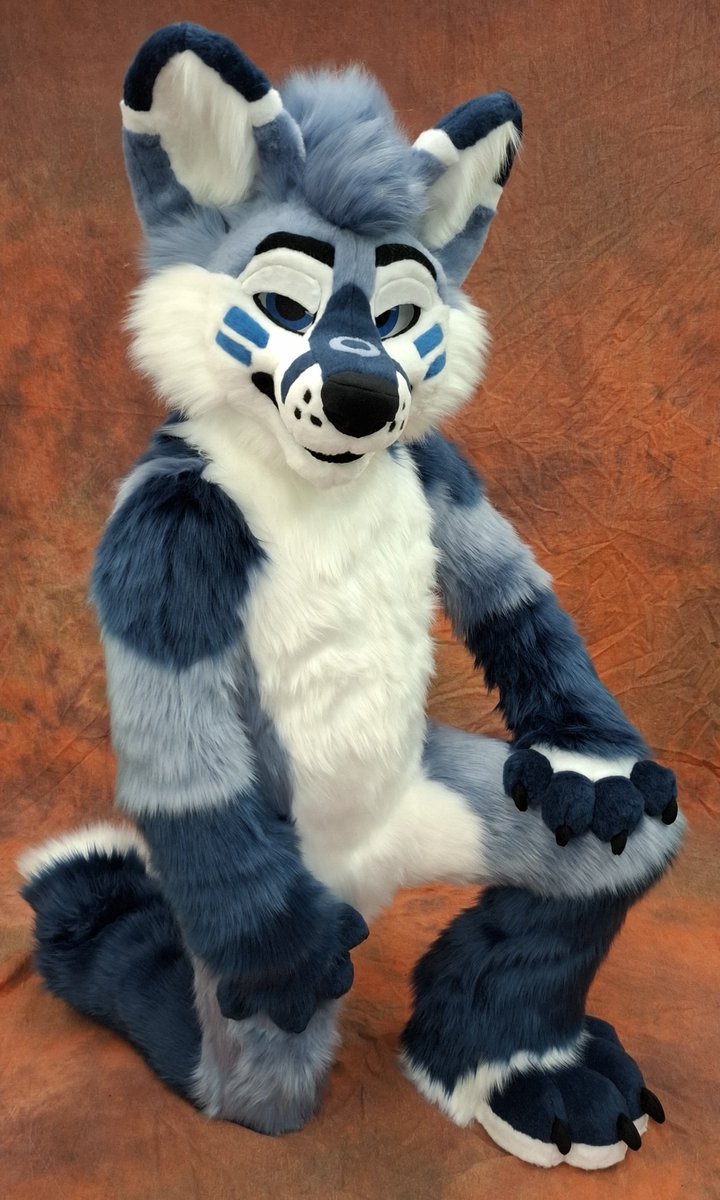 TheKarelia's tweet photo. He's one sassy fluff 💙🩵🤍 https://t.co/NXl6ojxSLk