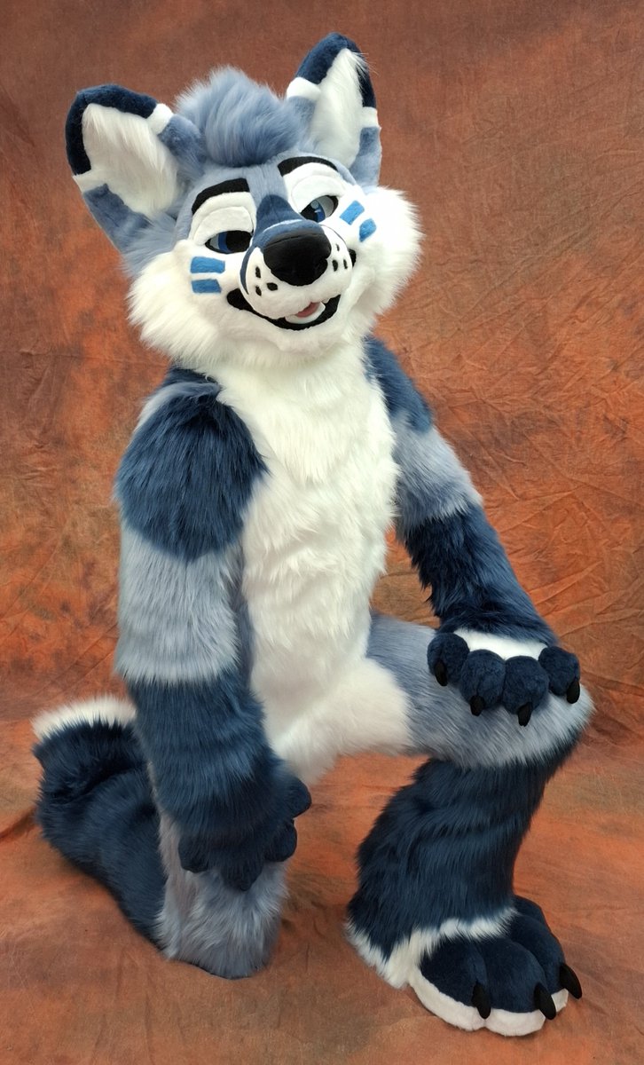 TheKarelia's tweet photo. He's one sassy fluff 💙🩵🤍 https://t.co/NXl6ojxSLk