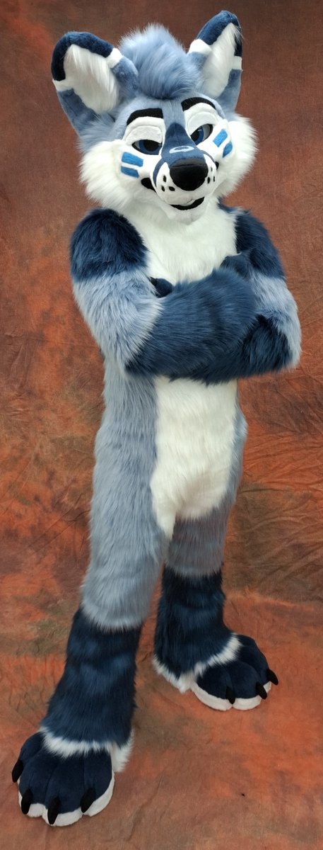 TheKarelia's tweet photo. He's one sassy fluff 💙🩵🤍 https://t.co/NXl6ojxSLk