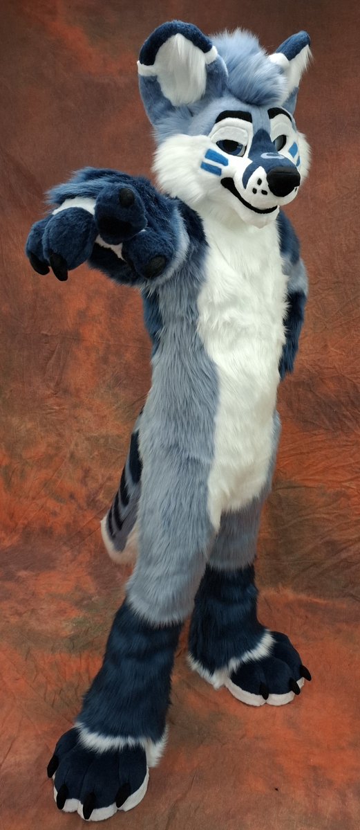 TheKarelia's tweet photo. He's one sassy fluff 💙🩵🤍 https://t.co/NXl6ojxSLk