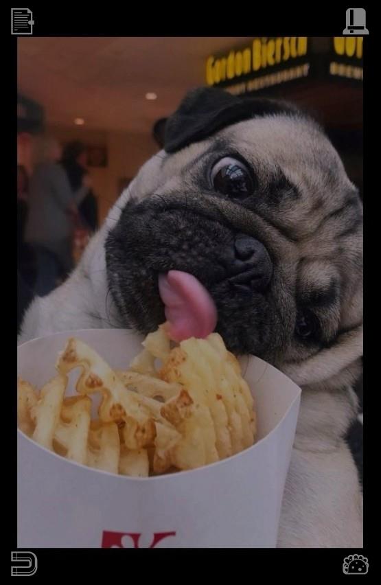 Purin_Pooh_'s tweet photo. Every time you choose to learn rather than distract yourself with empty entertainment, you build lifelong assets no market fluctuation or life crisis can ever take away from you.😐We’re leaders on the conveyor  and it’s no accident! Proved it again today! https://t.co/dNGuMLWY9v