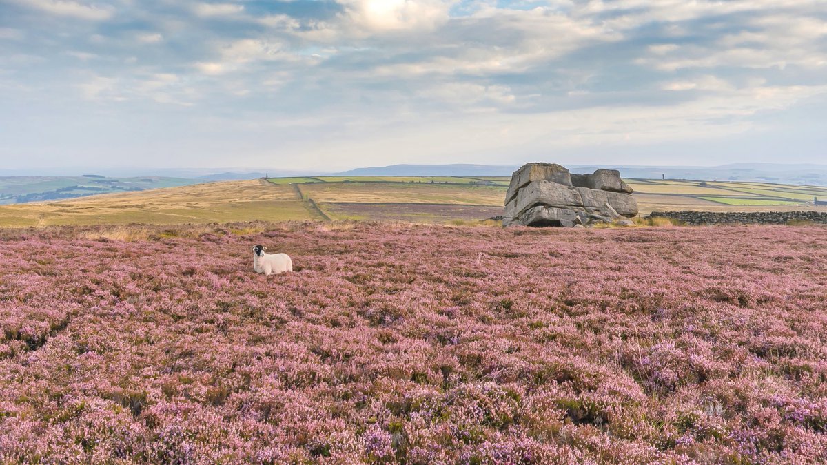 AFowlerPhoto's tweet photo. Just 4 miles from Haworth (as the crow flies), Yorkshire’s largest boulder, the Hitching Stone marks the point where West Yorkshire meets North Yorkshire and Lancashire. https://t.co/wTaIONj7F0