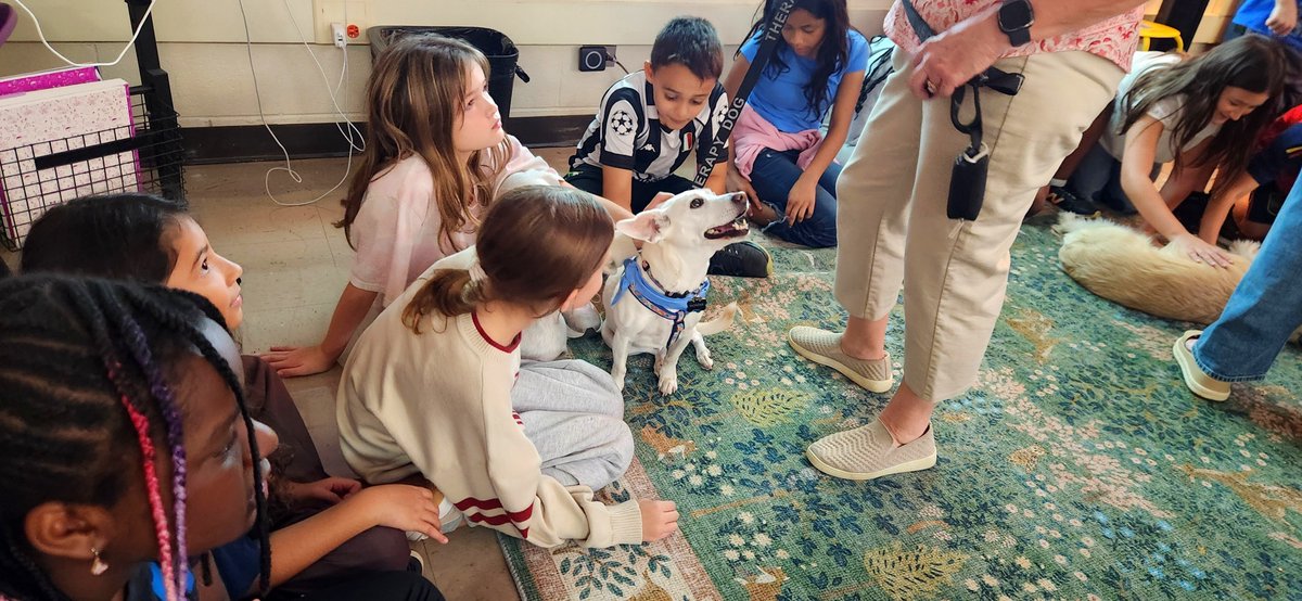 MsManzosWorld's tweet photo. Thank you @MissVandMe for organizing everyone's favorite part of the school year💙🥰 We're so excited to have these cuties back in our classes again🐶😍
#dg58pride @IndianTrailDG58 https://t.co/mQWXyLxCDQ