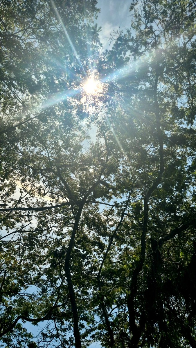 balejot's tweet photo. #ríopance #calivalle #naturaleza #nature https://t.co/e0jilskzMv