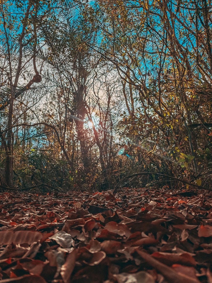 deividmedone's tweet photo. "Fotografar é aprender a enxergar beleza onde muitos passam sem notar." https://t.co/rdfSHFCtJZ