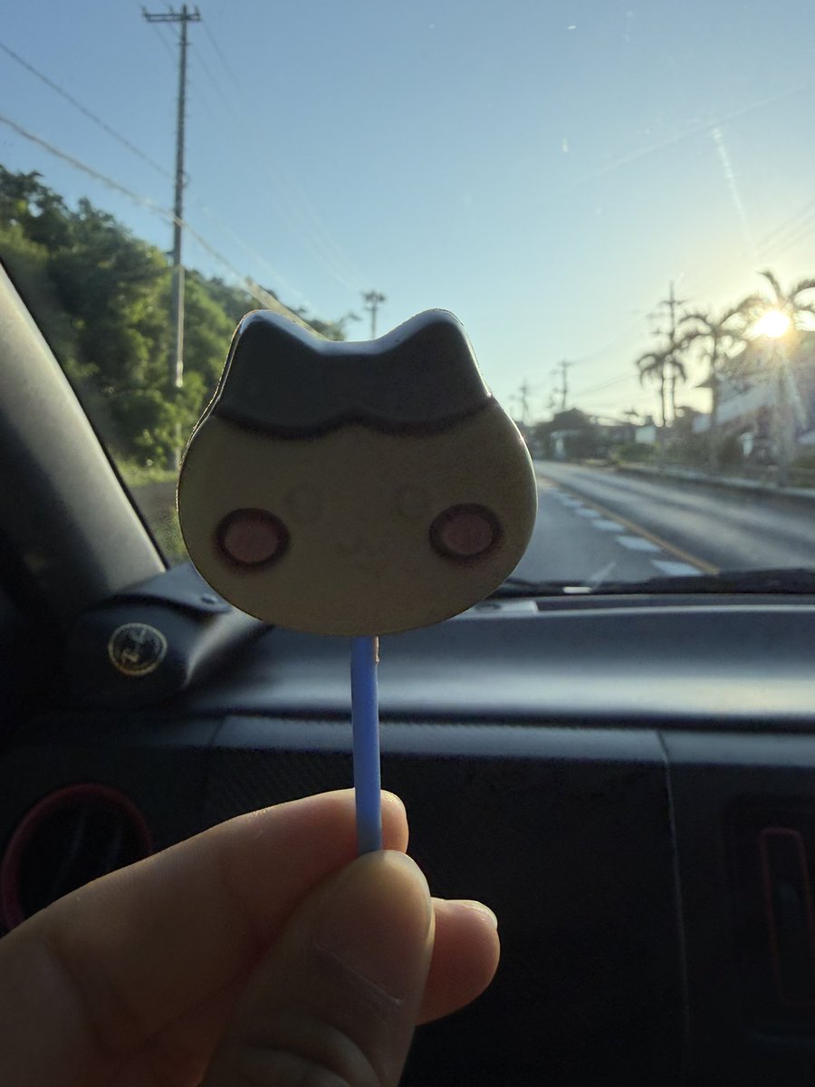 Fgh4Cn's tweet photo. 24歳、ハチワレを食す‼️ https://t.co/q4RuYX8JU2