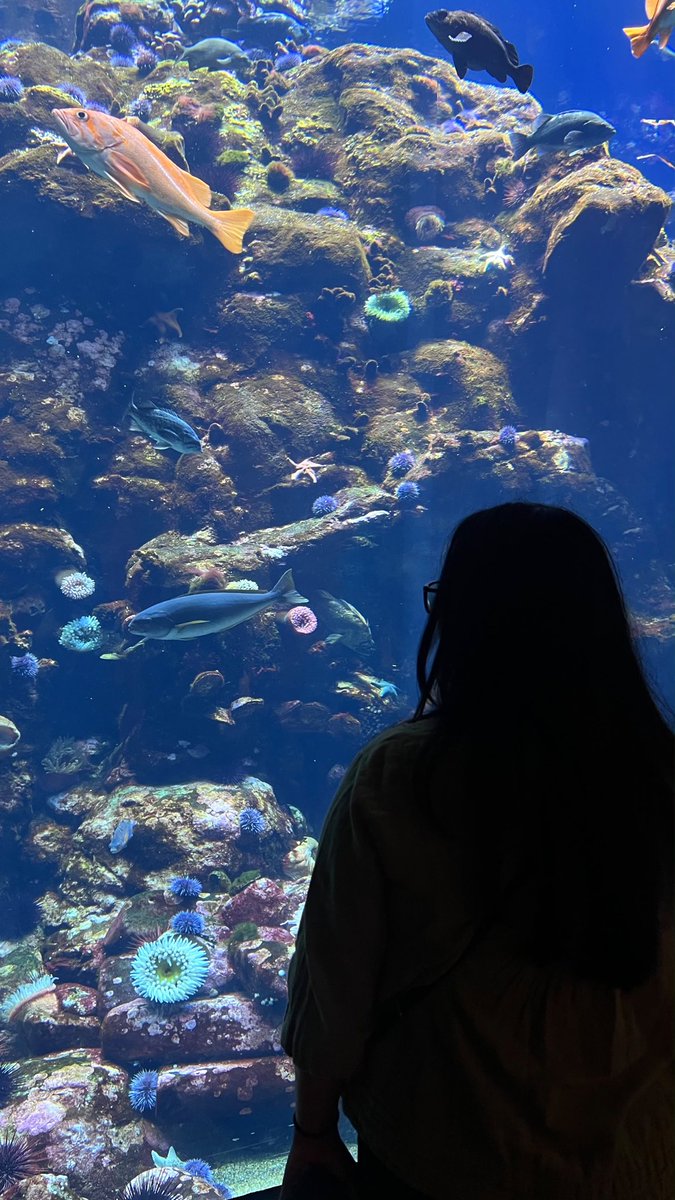 ananvgl's tweet photo. Can someone take me back? https://t.co/Hp9Rb83rCY