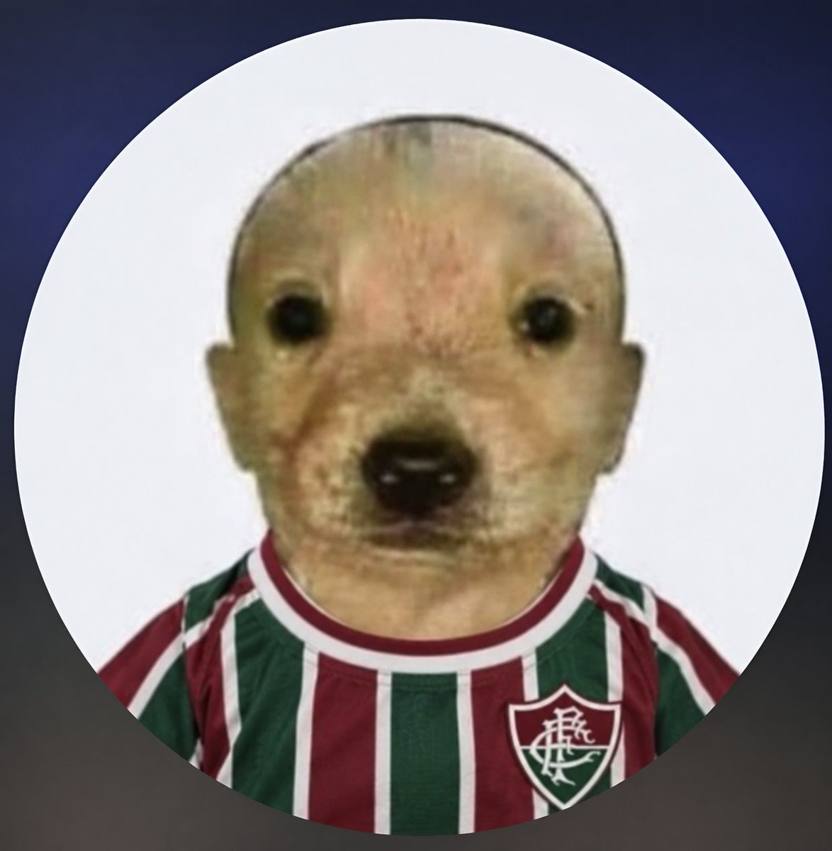 yourewading's tweet photo. Deixando aqui minha nova foto que gostei muito em apoio ao mes de conscientização do câncer canino https://t.co/02ddO7UFVw