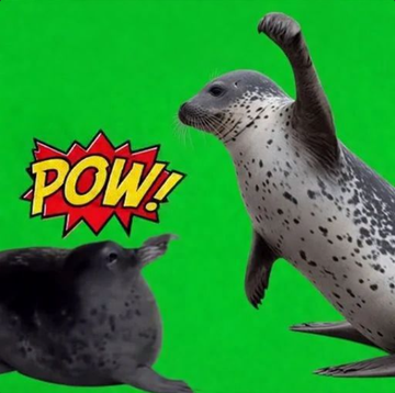 fffffffffff589's tweet photo. We just got a new VERSION of the Pow meme?

These 2 Seals trying to smack each other is going VIRAL on X, with TONS of people memeing it

They're literally recreating the famous meme. Genny potential

https://t.co/dU1GfV9EIi https://t.co/0nRwbHSehN