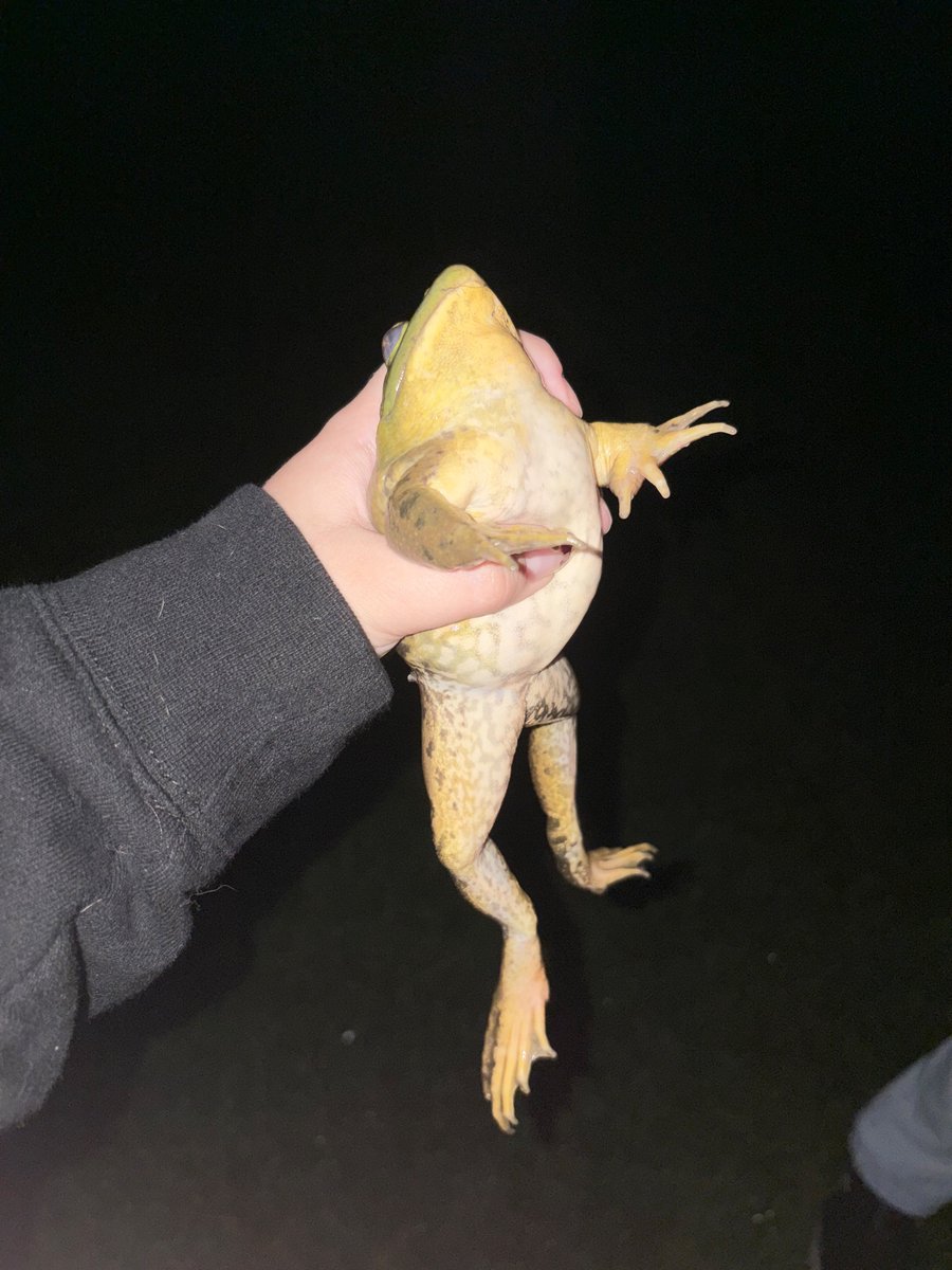 BrianSellaReal's tweet photo. Here's a frof I saved https://t.co/PYiAvFykQU