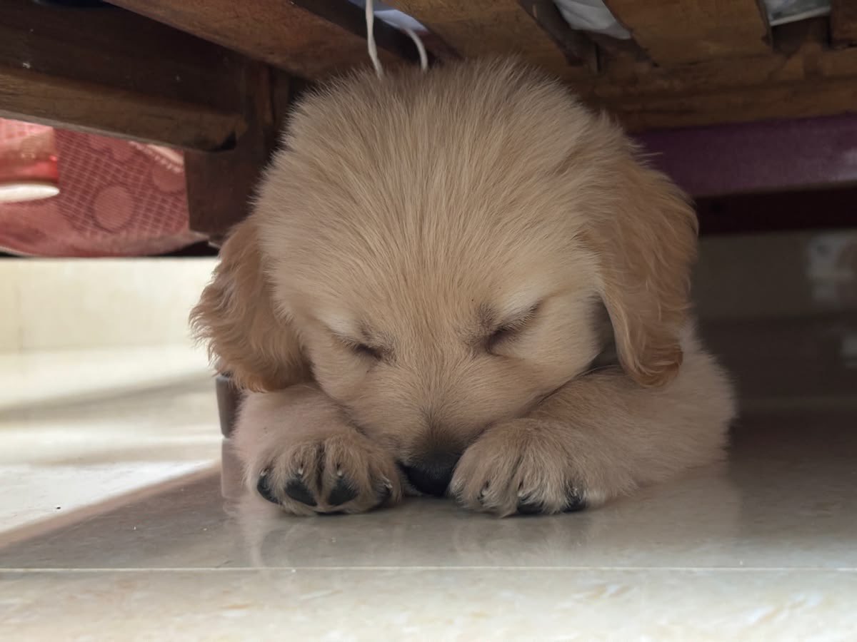 monstermuttmix's tweet photo. my room is such a depressing mess I sleep on the tile floor where there's space with a blankey https://t.co/zrHVRNksG4