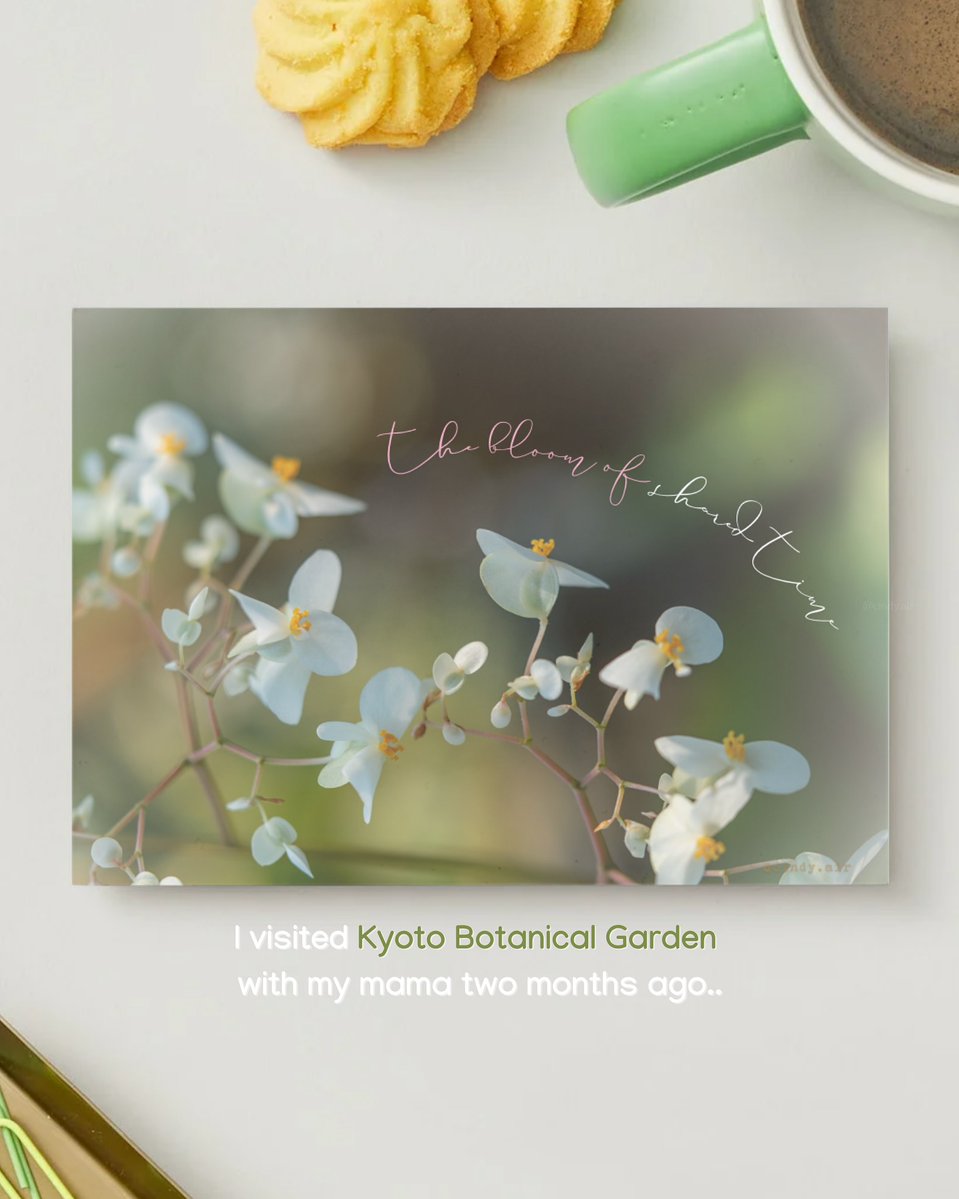 TulaChestand's tweet photo. I printed postcards using photos of two flowers I took at Kyoto Botanical Garden a couple months ago. I thought the visit would be simple, but the flowers were unexpectedly beautiful. And I decided to pair them with two Japanese quotes I found
🌸 https://t.co/WIl4fXcgJC
